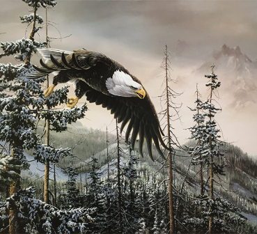 Eagle flying